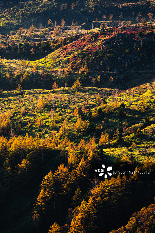 日本群马县山上的唯美秋景图片素材