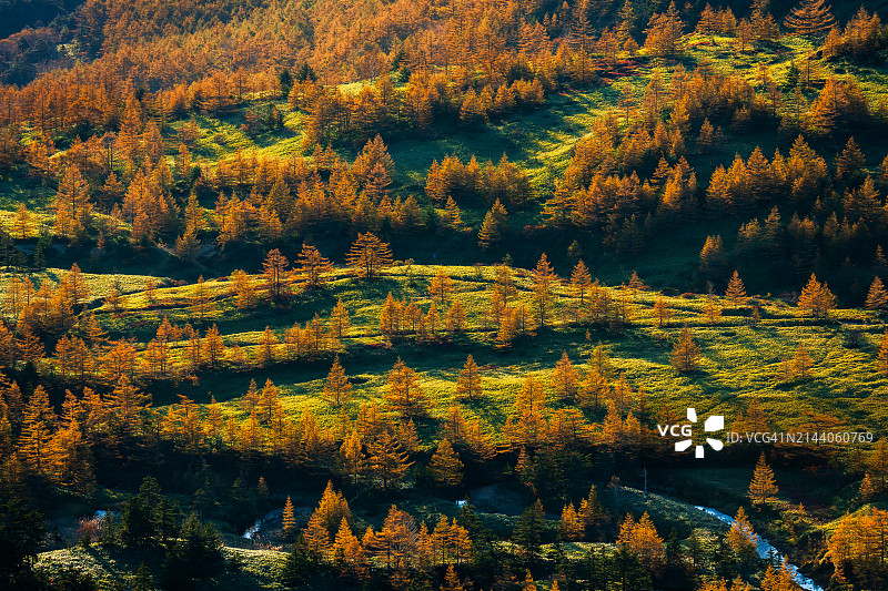 日本群马县山上的唯美秋景图片素材