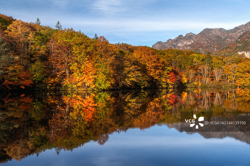 长野户隐镜池的美丽倒影图片素材