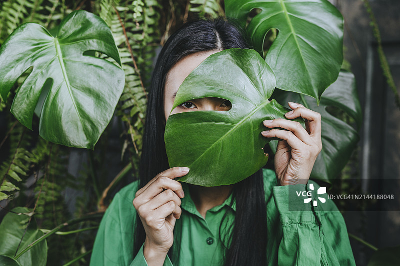 年轻女人用龟背竹叶遮住脸图片素材