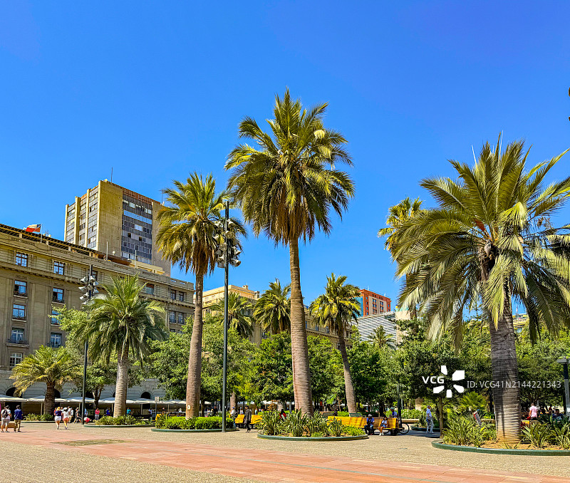 圣地亚哥武器广场，人们漫步棕榈树下图片素材