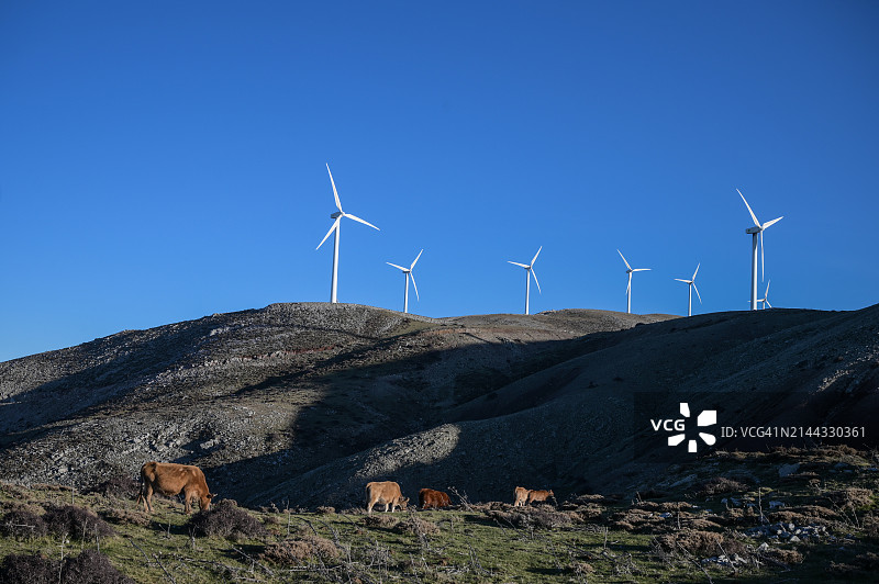 帕纳查伊科山风力发电场的风力涡轮机图片素材