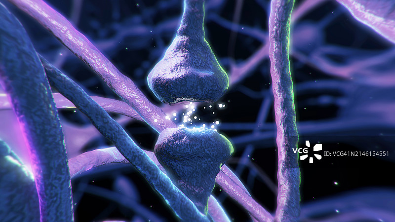 神经元突触大脑脉冲图片素材