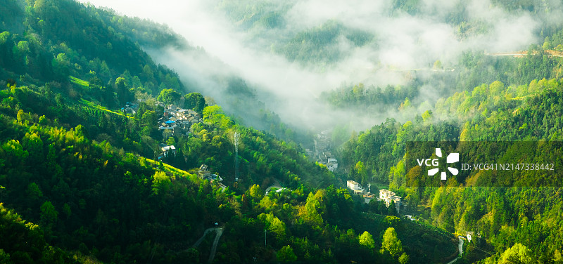 清晨，山顶云海和山谷中的油菜花盛开。古老的村落住宅。中国安徽省黄山市图片素材