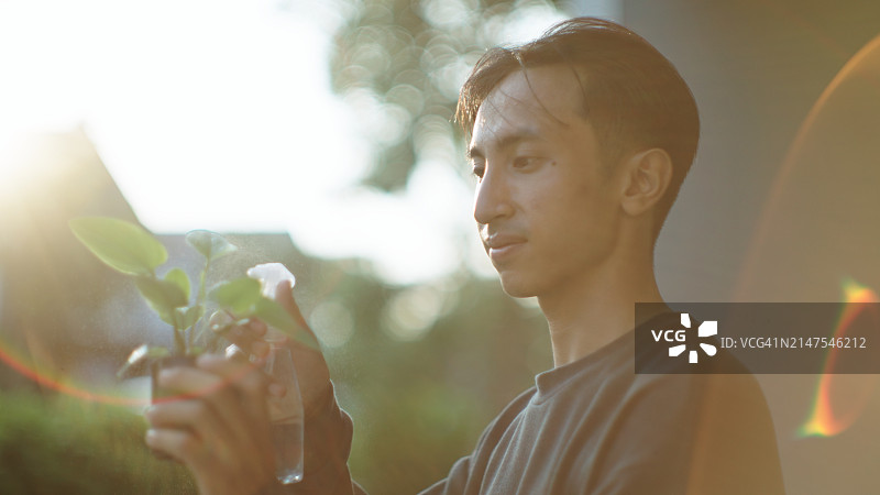 亚洲男人向小植物喷水图片素材