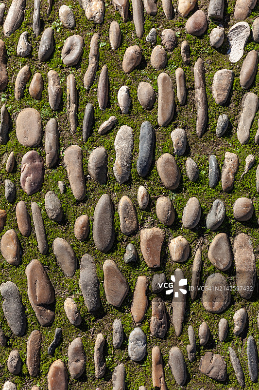 阳光明媚的日子里长满苔藓的鹅卵石路面纹理图片素材