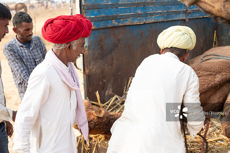印度普什卡骆驼集市图片素材