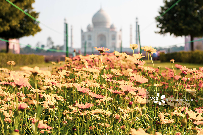 国家地理风格的泰姬陵影像图片素材