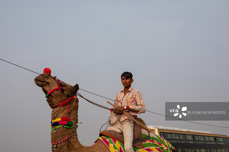 拉贾斯坦邦，国家地理风格图片，普什卡图片素材