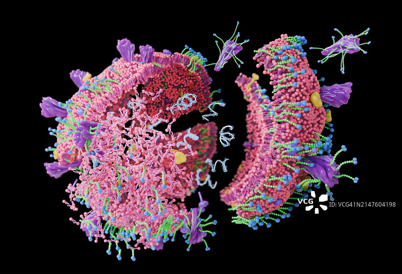 破坏冠状病毒的肥皂分子插图图片素材