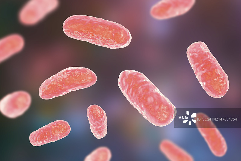 流感嗜血杆菌细菌插图图片素材
