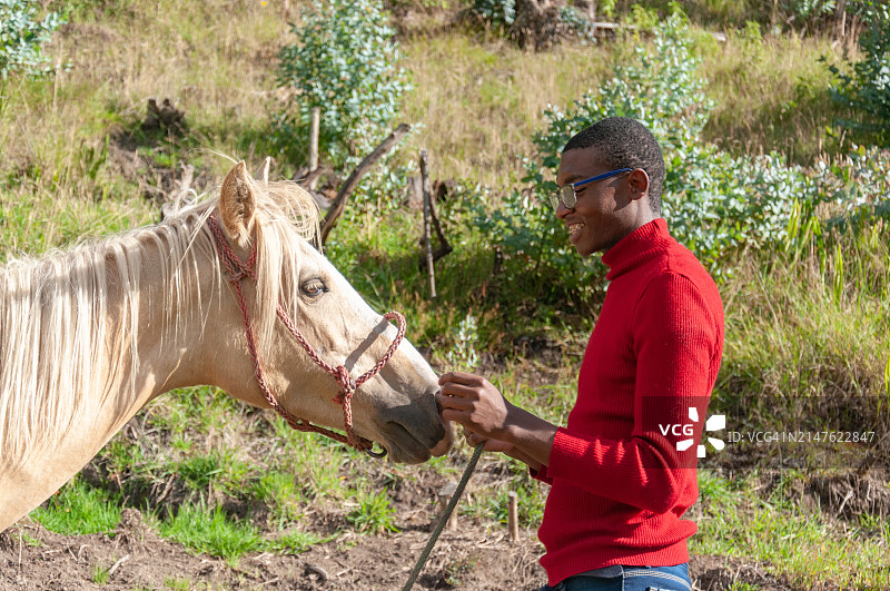 侧身握着马缰绳的非裔美国男人图片素材