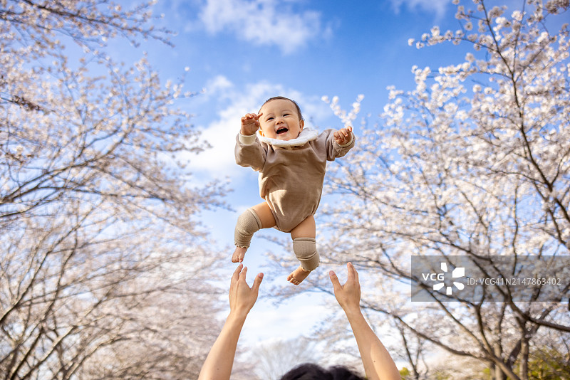 樱花下飞翔的男婴图片素材
