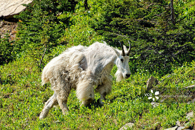 欢迎来到大自然图片素材