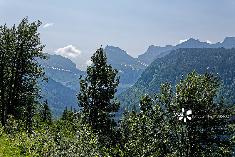 树后的山景图片素材
