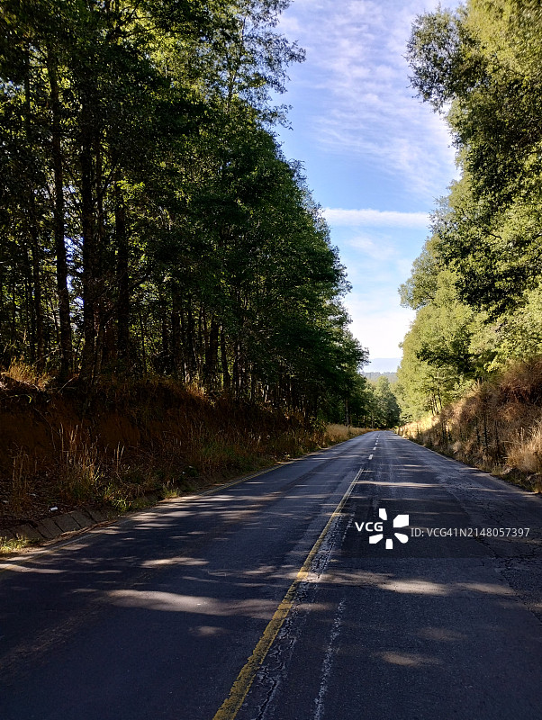 苍穹映衬下，林中空旷的道路图片素材