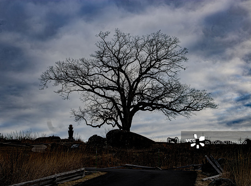 美国宾夕法尼亚州葛底斯堡天空下的田野上光秃秃的树的轮廓图片素材