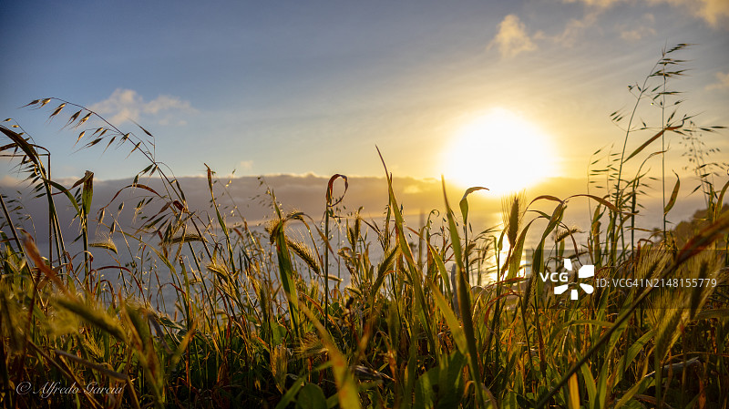 美国加利福尼亚州圣佩德罗日落时分的田野风光图片素材