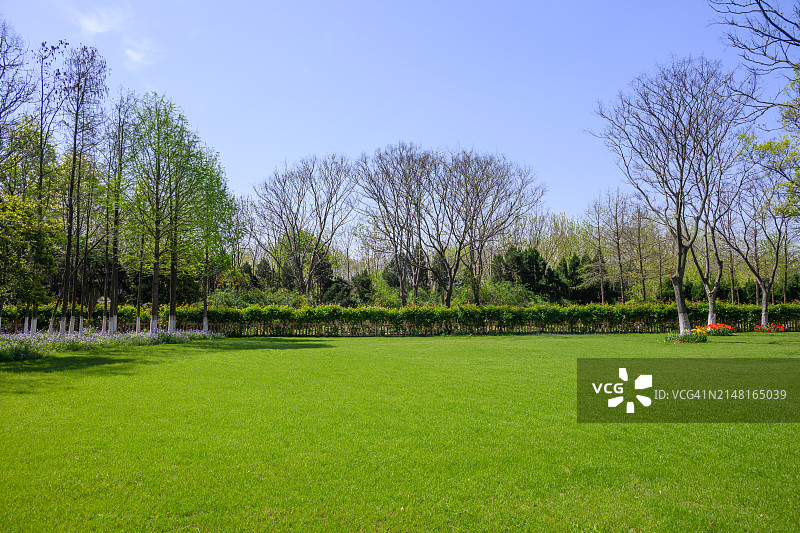 春日公园图片素材