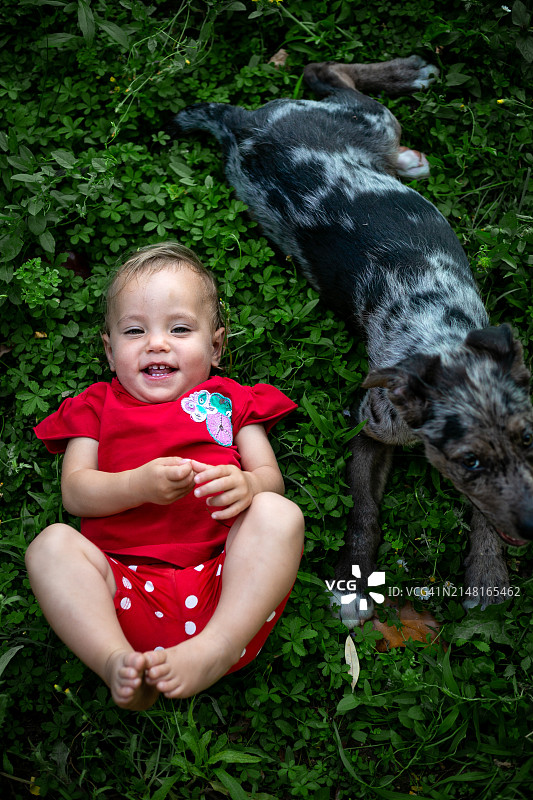 可爱女孩和狗坐在田野里（高角度拍摄）图片素材