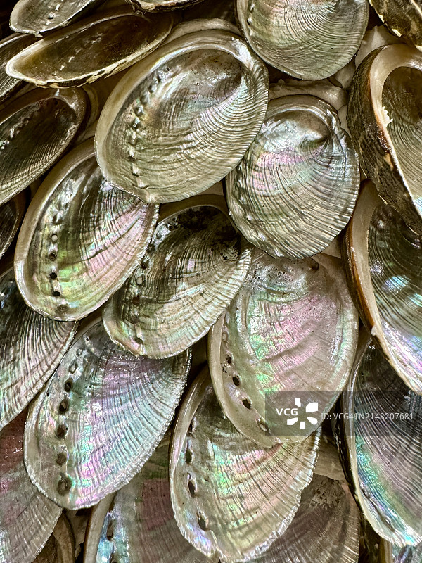 彩虹色鲍鱼壳的全画幅排列图片素材