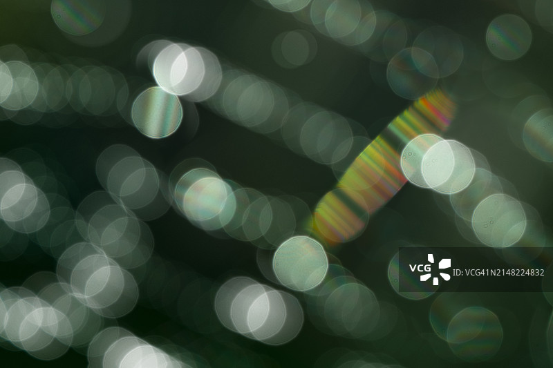 与众不同图片素材