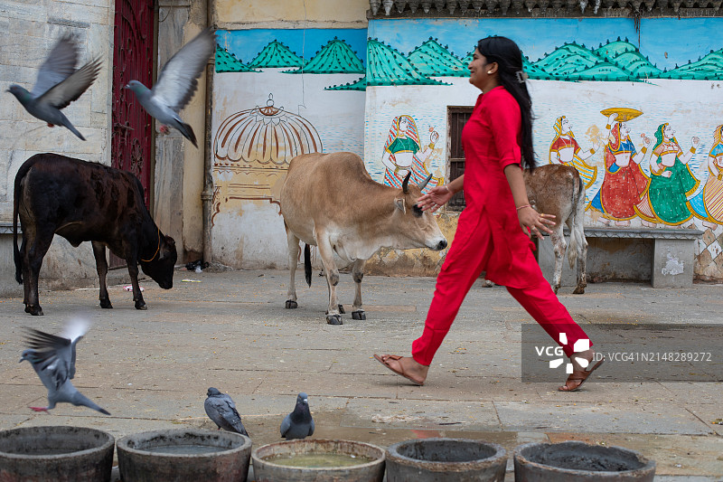 拉贾斯坦邦乌代布尔市影像图片素材