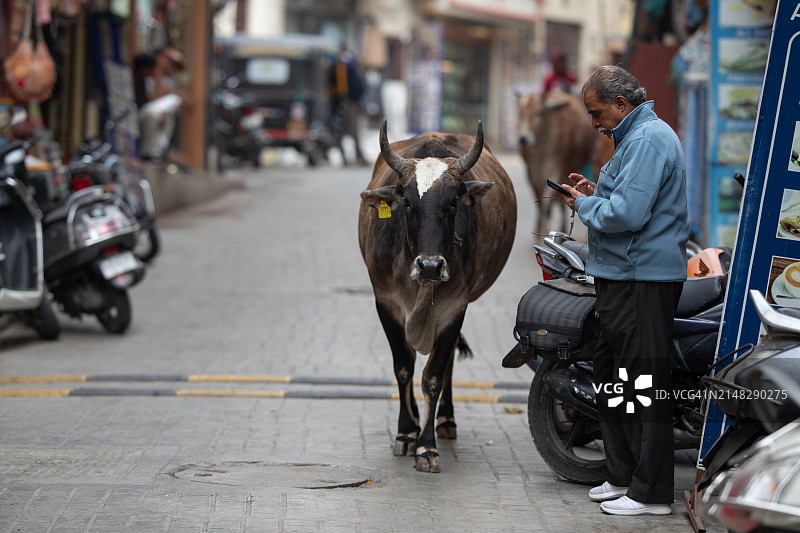 乌代布尔街拍摄影图片素材
