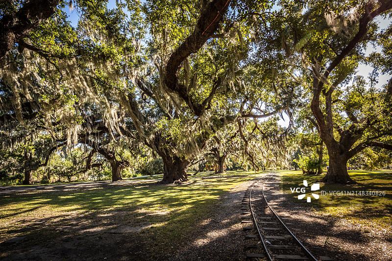 新奥尔良城市公园的铁轨与西班牙藓覆盖的橡树图片素材