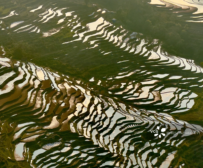 中国红河的梯田图片素材