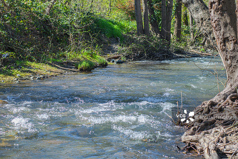 森林中的河流美景，美国加利福尼亚州圣罗莎图片素材