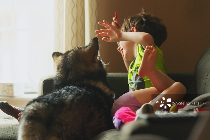兄妹在沙发上和狗玩耍图片素材