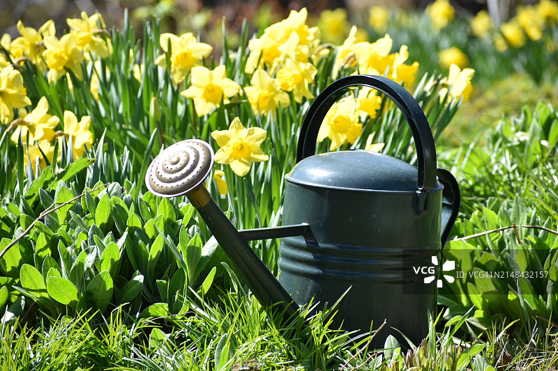 田野上的浇水壶特写图片素材