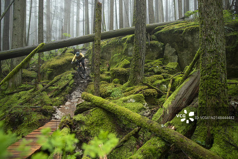 温哥华北岸山地自行车道骑行图片素材