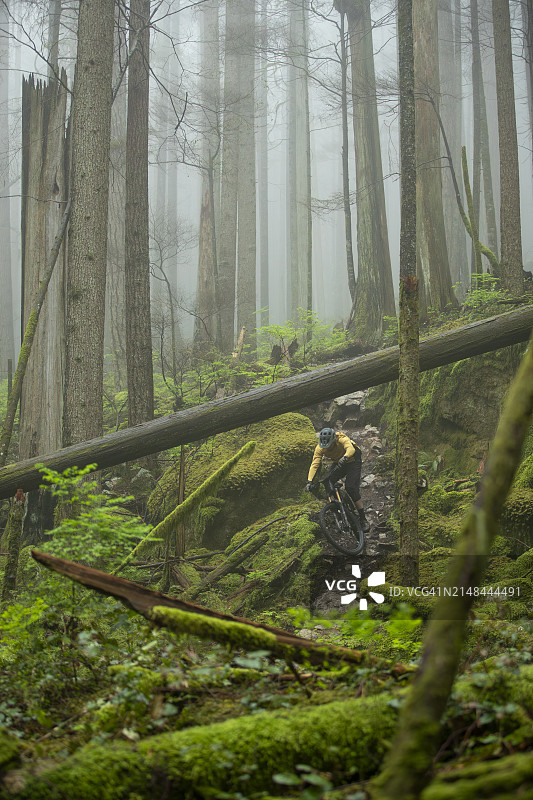 温哥华北岸山地自行车道骑行图片素材