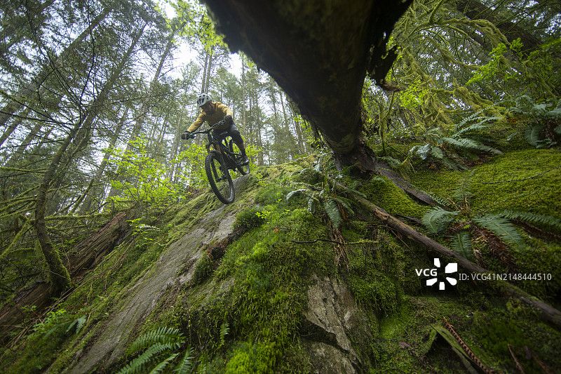 温哥华北岸山地自行车道骑行图片素材