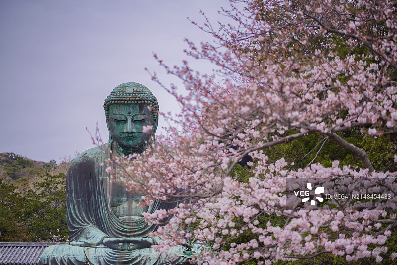 镰仓大佛图片素材