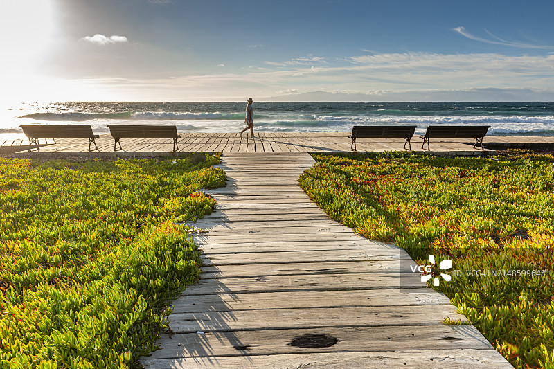 加那利群岛美洲海滩图片素材