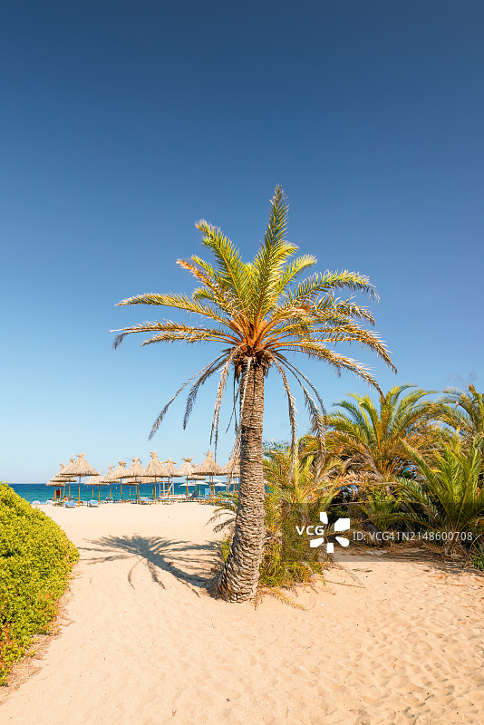 瓦伊海滩，克里特岛，希腊图片素材