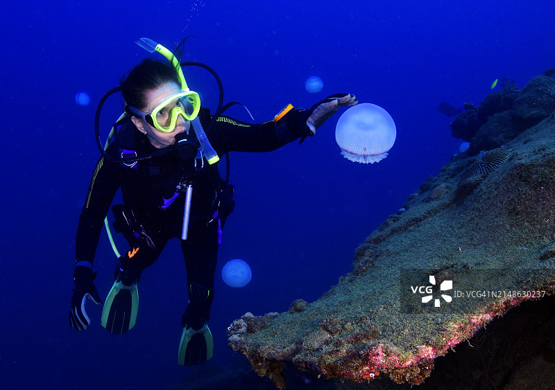 炮弹水母和潜水员图片素材