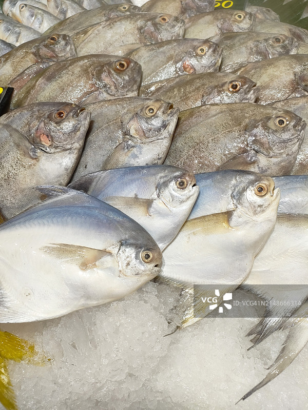 超市鱼类冷藏展示柜图片素材
