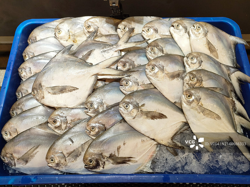 超市鱼类冷藏展示柜图片素材