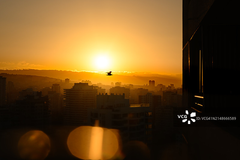 智利 Viña del Mar 全景图片素材