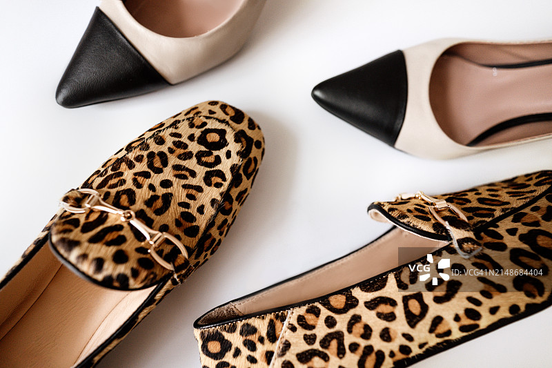 潮流时尚女鞋系列：豹纹乐福鞋、黑色米色时尚露跟鞋图片素材