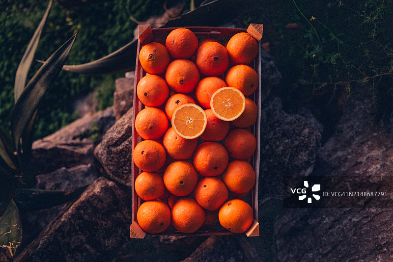一箱橙子图片素材