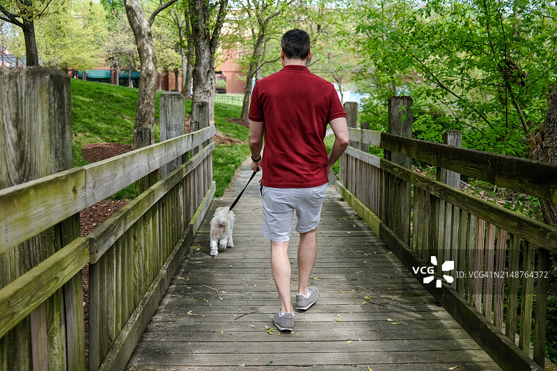 男人在公园里遛狗图片素材
