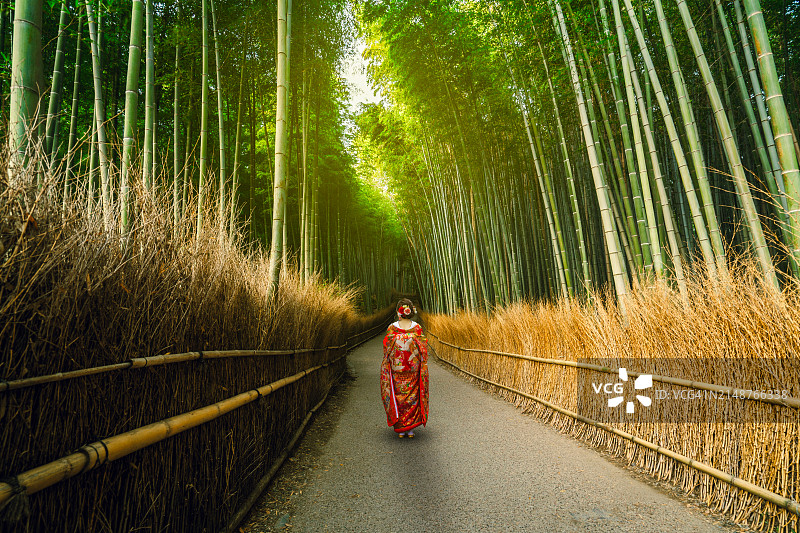 日本女人在京都岚山竹林中漫步图片素材