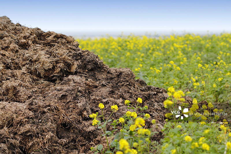 法国诺曼底的肥料图片素材