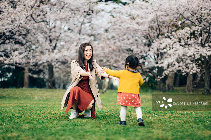 可爱的小亚裔女孩在公园里朝着母亲跑去，背景是樱花，她们快乐地笑着，享受着亲密的亲子时光，家庭生活方式，爱和团结，家庭旅行和度假概念图片素材