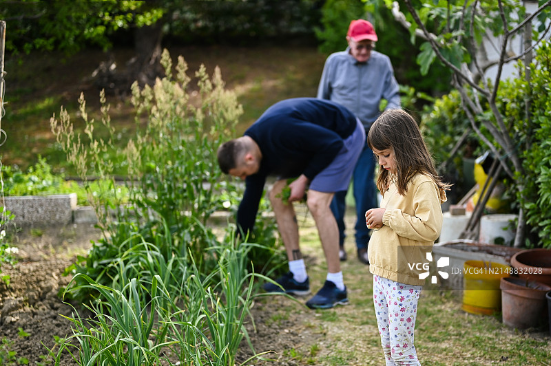 多代同堂家庭在蔬菜园里图片素材